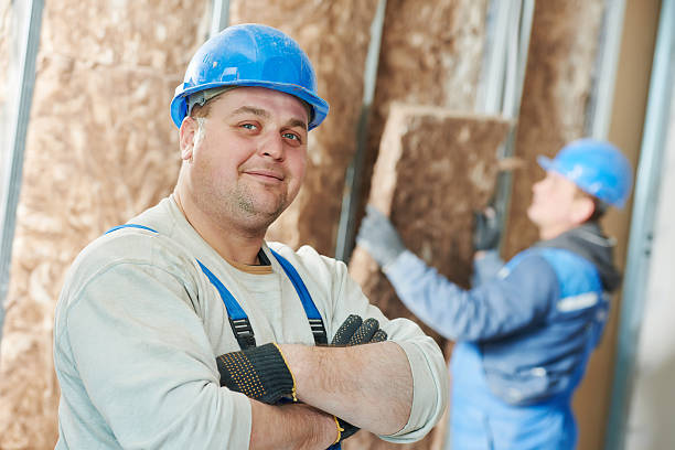Best Commercial Insulation in Sherman, TX